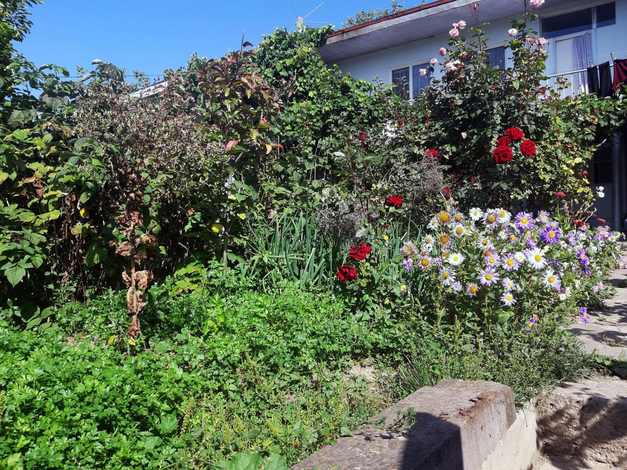 Aspet B&B Tatev Exterior foto